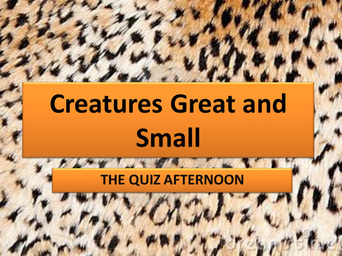 Animal Classifiction Quiz