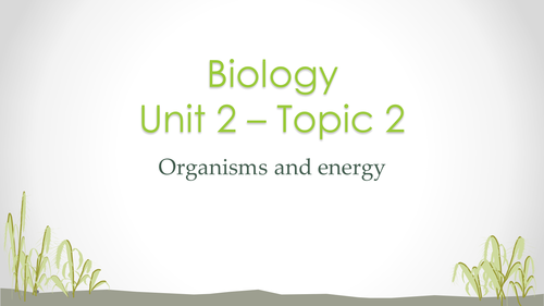 Edexcel B2 Topic 2 Organisms and energy