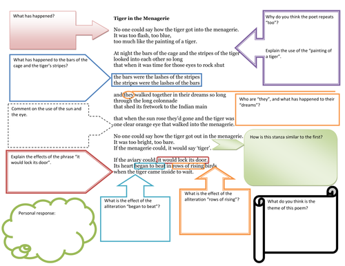'Tiger in the Menagerie' - Emma Jones