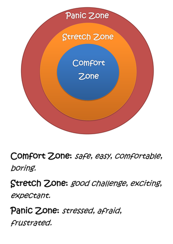 The Comfort Stretch And Panic Zones Discussion Task Teaching Resources