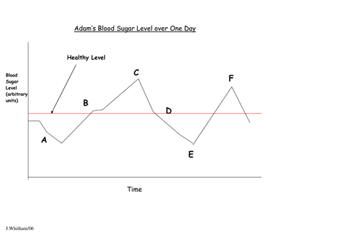 Blood Glucose Control Homeostasis