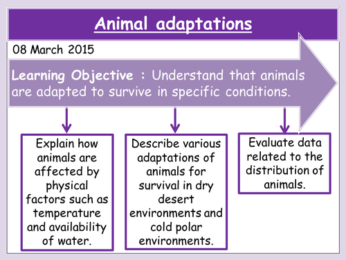 Animal adaptations