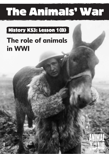 Animals in WWI  (history unit of work)
