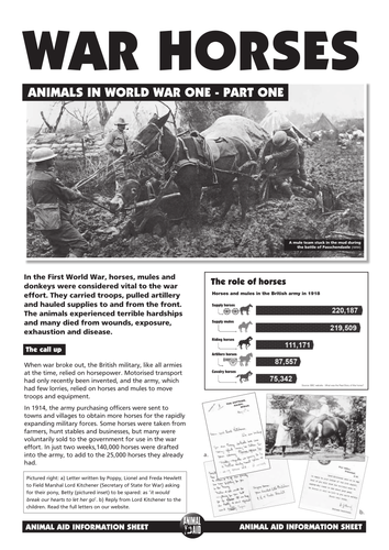 War Horses factsheet | Teaching Resources
