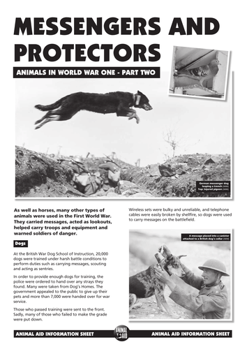 Messengers and Protectors factsheet
