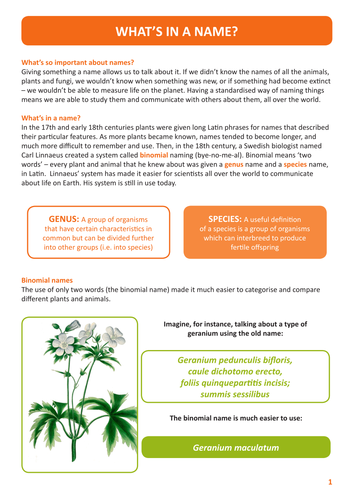 National Insect Week - What's in a name?