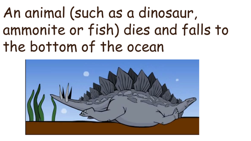 dinosaur fossils ks1