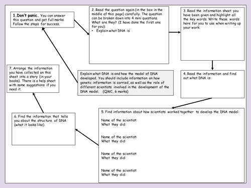 QWC DNA question step by step help sheet