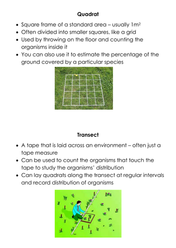 Sampling Techniques | Teaching Resources