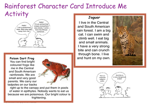 Rainforest Character Cards Introduce Me