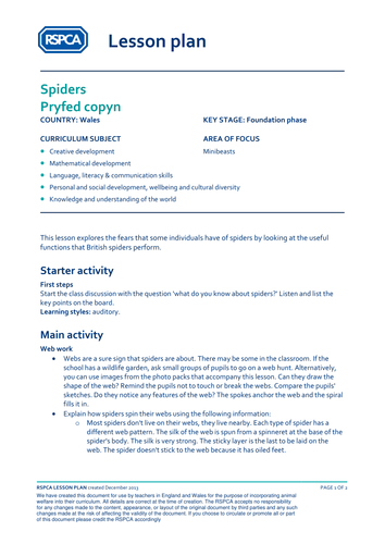 Welsh lesson plan: Minibeasts - Spiders