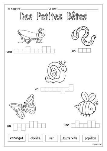 FRENCH - Mini Beasts -  Des Petites-Bêtes - Worksheets