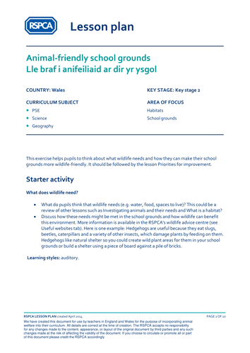 Welsh lesson plan: School grounds - Animal-friendly school grounds