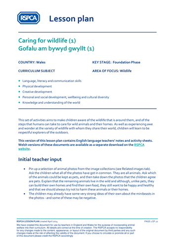 Welsh lesson: Wildlife - Caring for wildlife | Teaching Resources