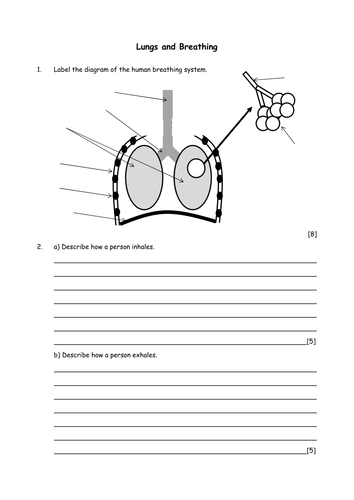 Biology: Breathing