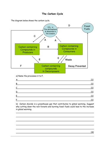 Biology: Carbon cycle