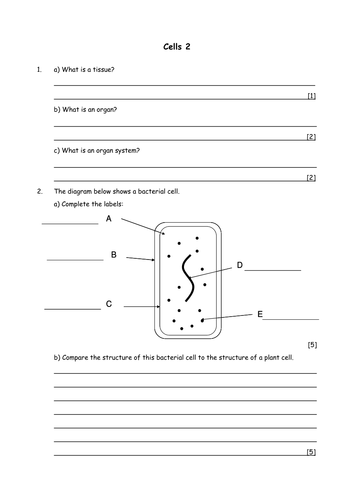 Biology: Cell Structure