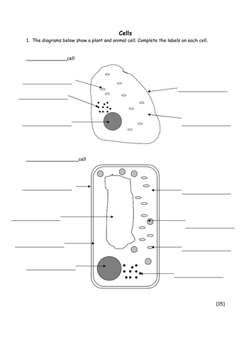 Animal/Plant Cells