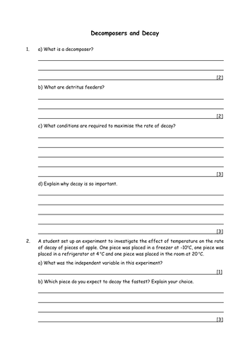 Biology Decomposers And Decay Teaching Resources