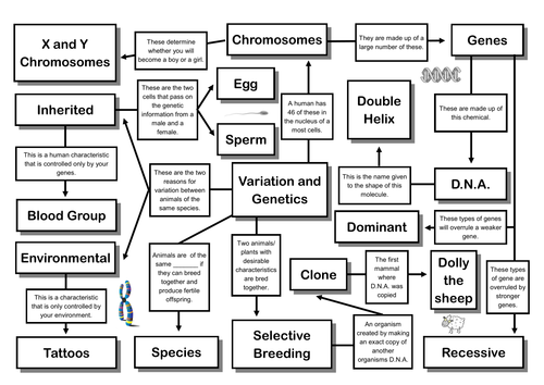 Variation and Genetics Mind Map | Teaching Resources