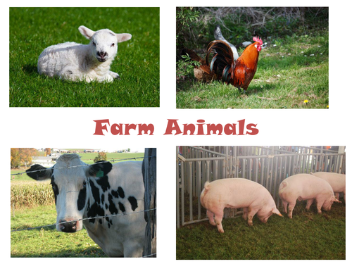 farm animals pictures to print