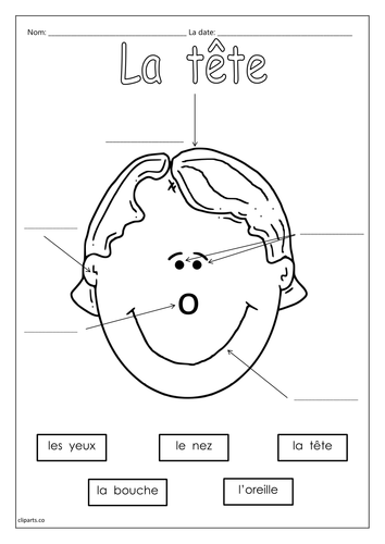 French - Facial Features - Worksheets