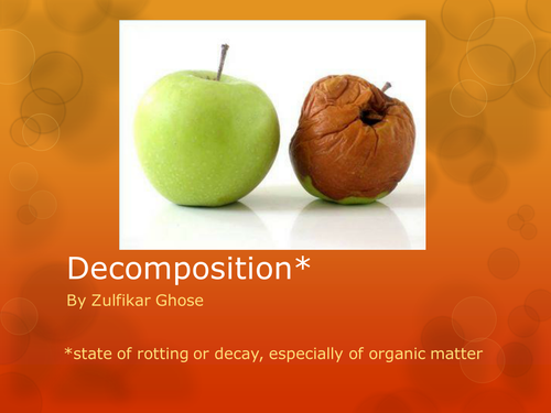 decomposition-teaching-resources