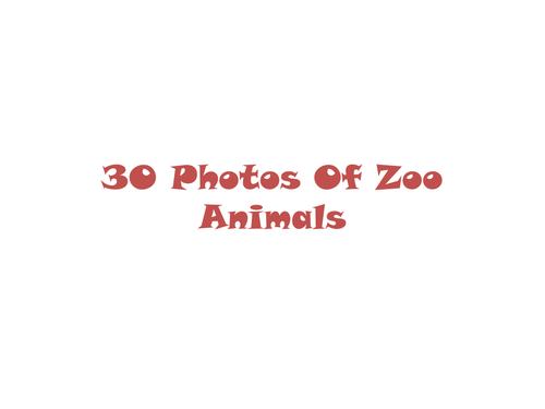 30 Photos Of Zoo Animals