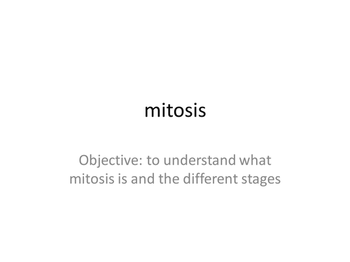 a lesson on mitosis