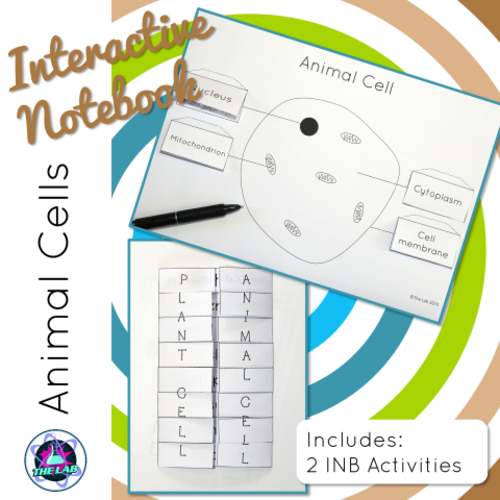 Animal Cell Interactive Notebook