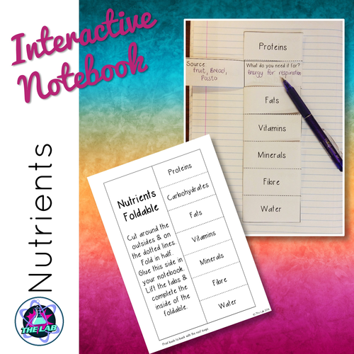 Nutrients Interactive Notebook
