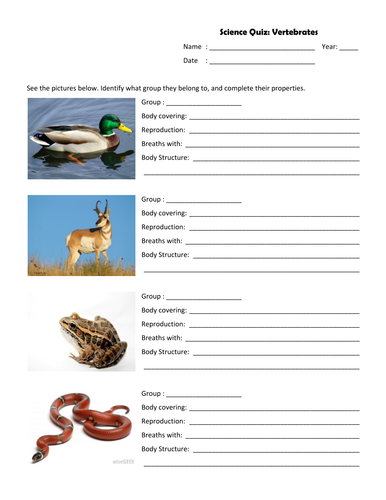 Vertebrates | Teaching Resources