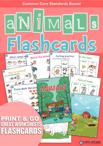 Animal Flashcards