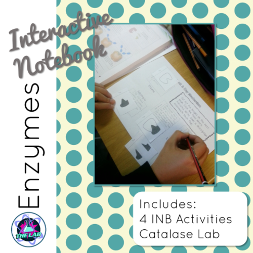 Enzyme Interactive Notebook activities Teaching Resources