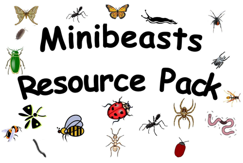 Minibeasts Resource Pack