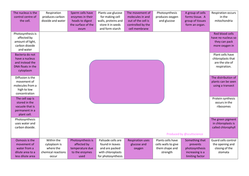 Reversed mind-map revision task for additional biology unit