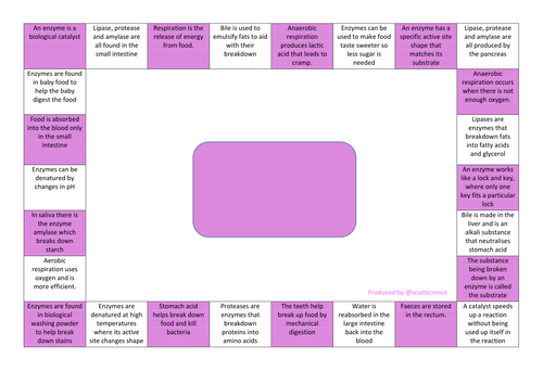 additional biology revision mindmap (reversed) for digestion