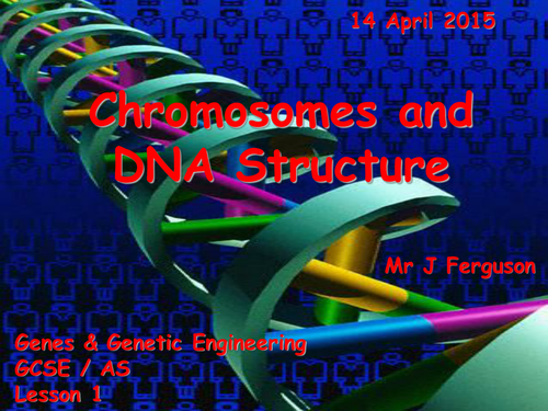L1 Chromosomes and DNA structure