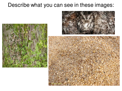 AQA-Adaptation and Interdependence