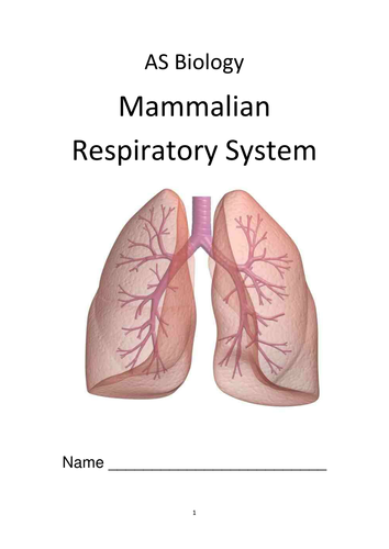 Mammalian Lung Workbook | Teaching Resources