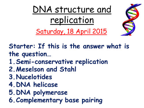 Revision on DNA structure and replication | Teaching Resources