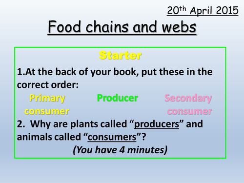 Food chains and webs