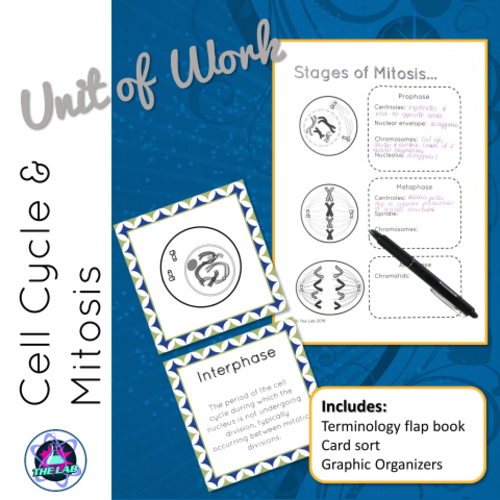 Cell Cycle and Mitosis