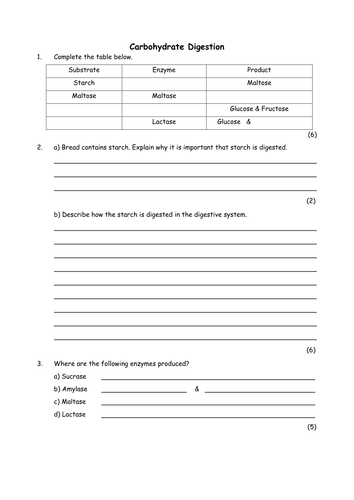 Biology: Carbohydrate digestion