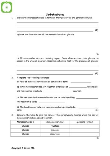 Chemistry Of Carbohydrates Worksheet Answers Ivuyteq 4305