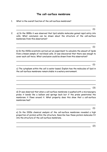 Biology: Cell surface membrane
