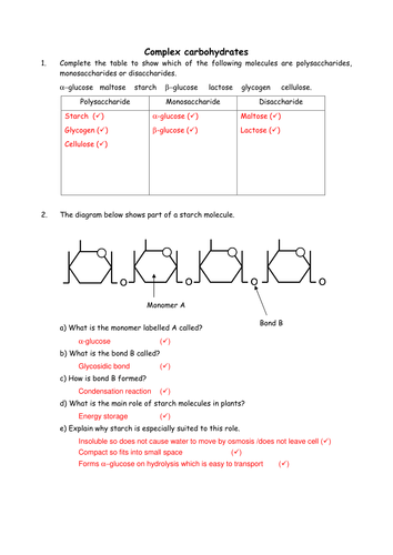 Biology: Complex carbohydrates