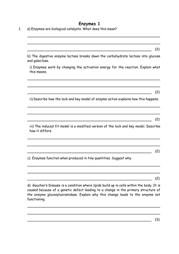 Biology: Biological Catalysts