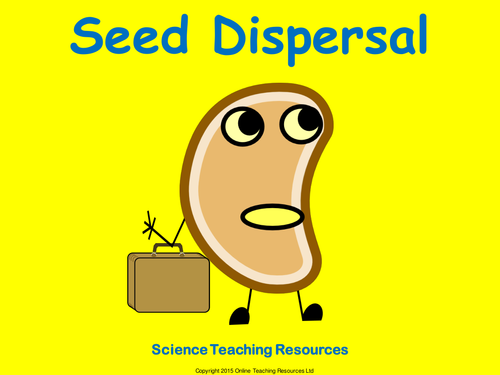 Seed Dispersal - PowerPoint Presentation