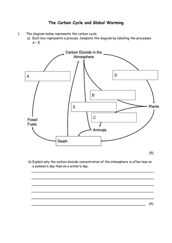 Biology: Carbon cycle and global warming